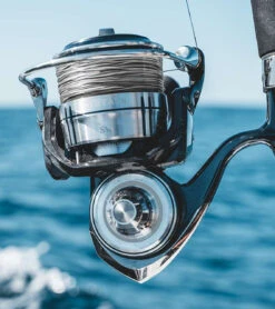 Daiwa Certate SW Spinning Reels -Deals Fishing Store daiwa certate sw spinning reels 63585.1651409087