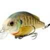 LIVETARGET Lures Bluegill Squarebill