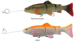 Savage Gear Pre-Rigged 3D Line Thru Trout Lures -Deals Fishing Store savage gear pre rigged 3d line thru trout lures 89082.1650821678