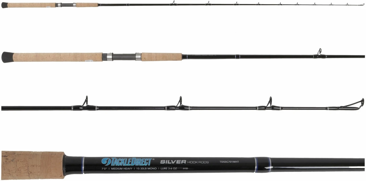 TackleDirect Silver Hook/Daiwa LX-WN300HS Lexa WN Baitcasting Combo 2 TackleDirect Silver Hook/Daiwa LX-WN300HS Lexa WN Baitcasting Combo - Image 2