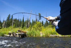 Thomas & Thomas Avantt Series Fly Rods -Deals Fishing Store thomas thomas avantt series fly rods 24051.1651330434