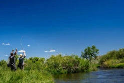 Thomas & Thomas Lotic Series Fly Rods -Deals Fishing Store thomas thomas lotic series fly rods 25489.1651330459