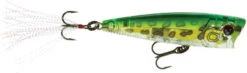 Yo-Zuri R1101 3DB Popper Lure PF Prism Frog